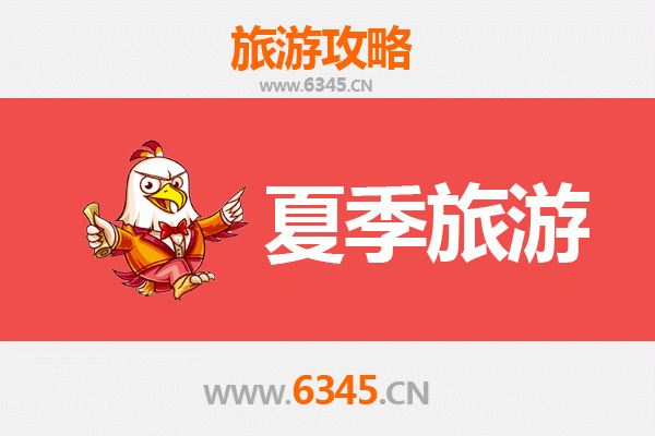 梧州苍梧夏季避暑胜地：六堡茶乡与森林秘境之旅